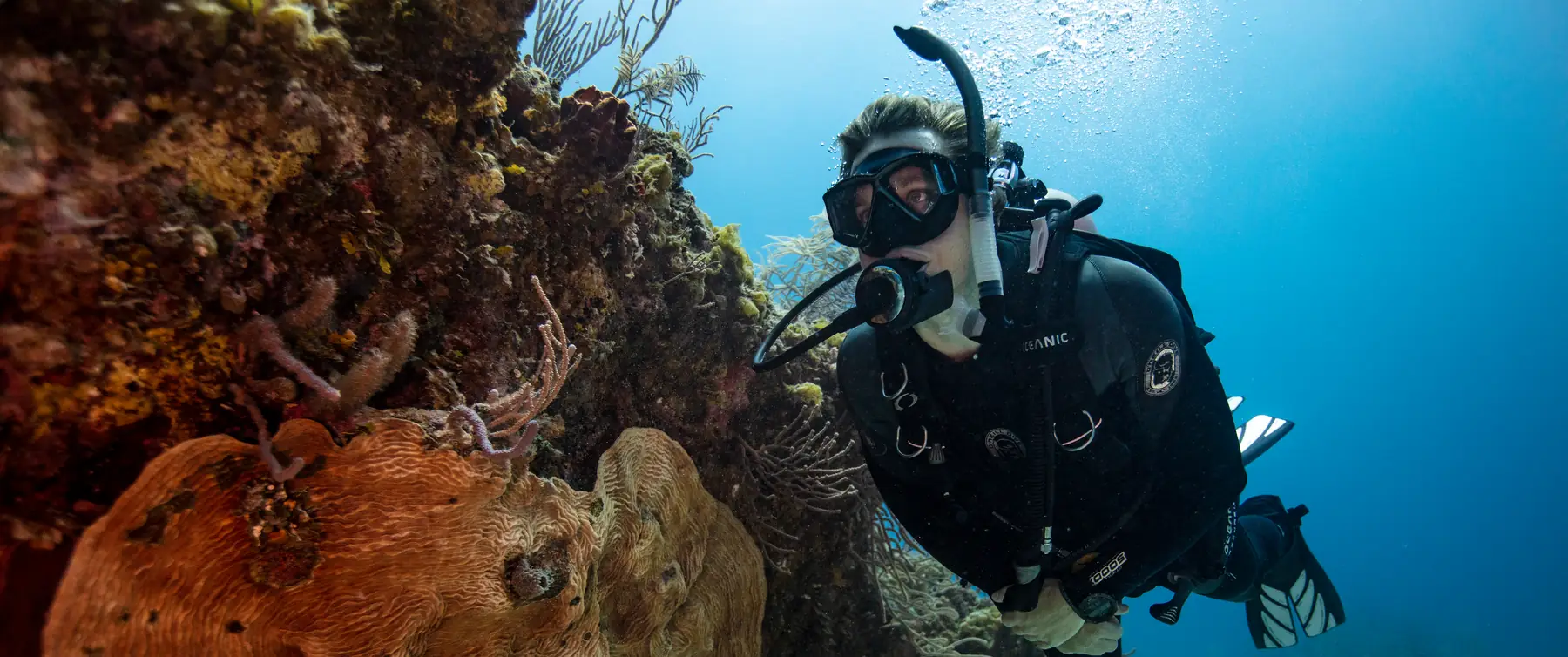 A SCUBA diver swims past a coral bommie