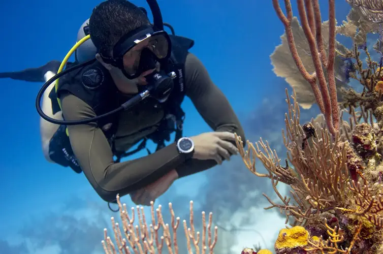 A scuba diver looking at colorful tropical reef soft corals and sponges
