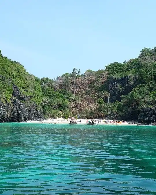 a view from the sea looking at a beach in a bay edged by cliffs, tropical plants and coconut pams