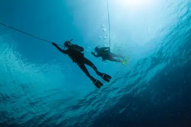 two scuba divers descend from the ocean surface using guide ropes
