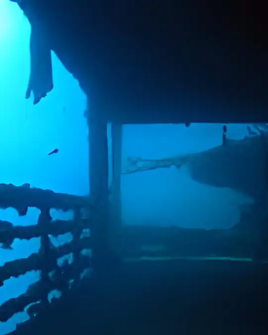 a view inside a sunken passenger ferry The King Cruiser